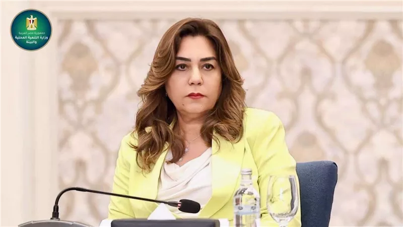 التنمية المحلية: رفع 190 إشغالًا وتعديًا وغلق وتشميع 18 محلًا بالجيزة