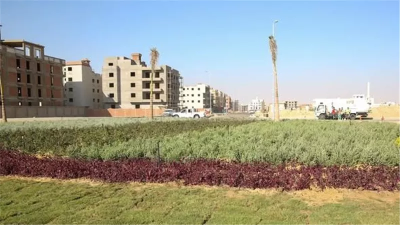 بين جهود الحكومة ودعم المواطنين.. مشروعات 