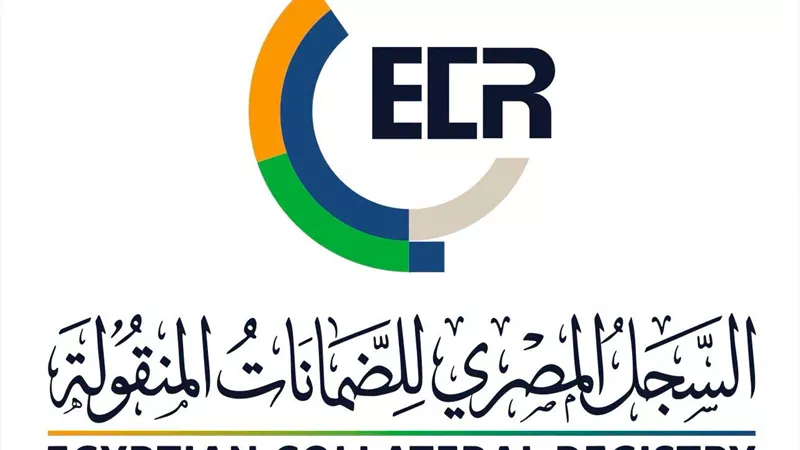 الضمانات المنقولة تفتح باب التمويل للمشروعات.. والرقابة المالية تطور المنظومة