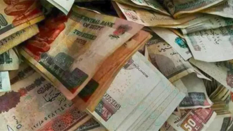 قبل الإنترفيو.. رابط حكومي يكشف إجمالي مرتبك وخصوماتك الشهرية