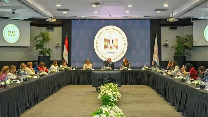 وزير الاستثمار يبحث مع مجلس سيدات الأعمال العرب تعزيز الاستثمارات وتمكين المرأة اقتصاديًا