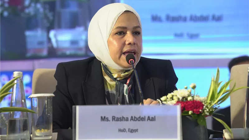 مصر في قلب التعاون الضريبي بالبريكس.. مبادرات جديدة للتدريب وتبادل الخبرات