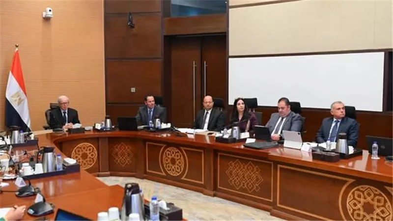 31 برنامجًا و100 إجراء.. مصر تضع اللمسات الأخيرة لخطة سياسة ملكية الدولة