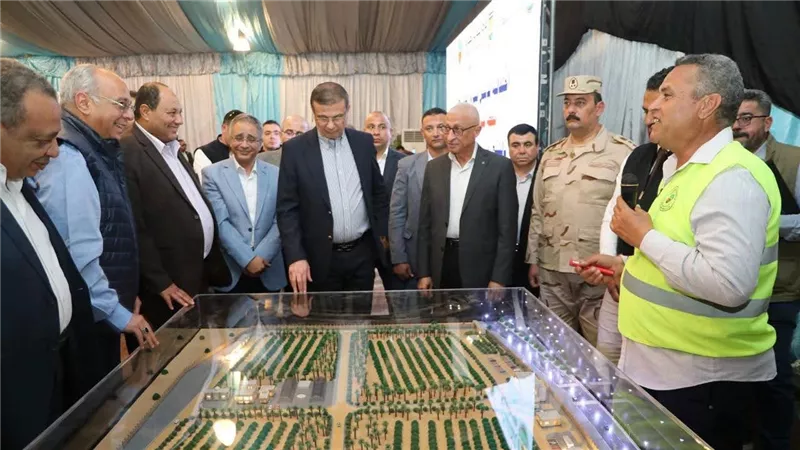 الزراعة تكشف خريطة تنمية سيناء.. 16 تجمعًا و100 ألف شتلة زيتون