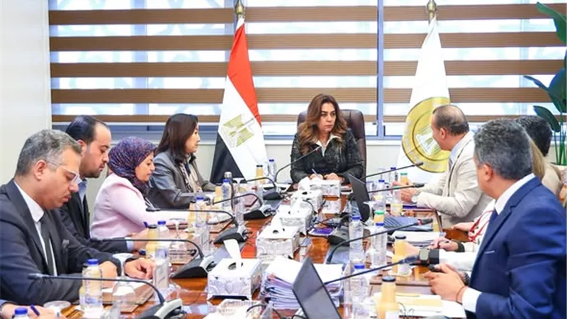 466 مليون جنيه و5 آلاف متدرب.. تفاصيل خطة دعم التنمية المحلية في 4 محافظات بالصعيد