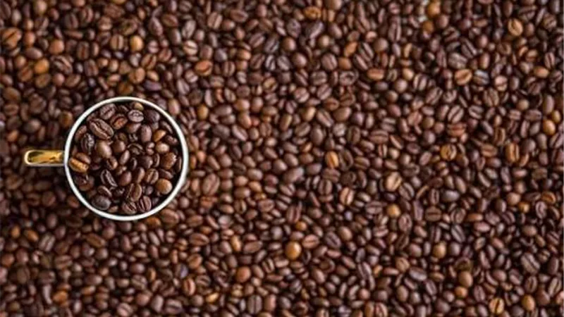 تراجع إنتاج القهوة الكولومبية إلى 12.65 مليون جوال.. ماذا يحدث في السوق العالمية؟