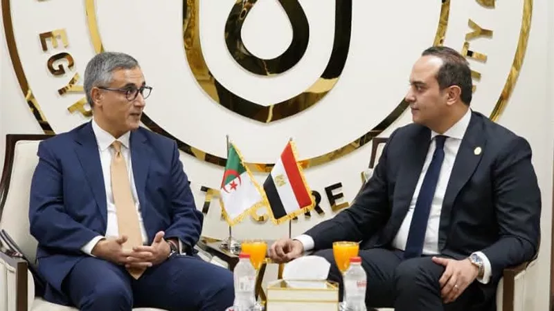 تعاون صحي جديد بين مصر والجزائر يشمل السياحة العلاجية والاستثمار والصناعات الدوائية
