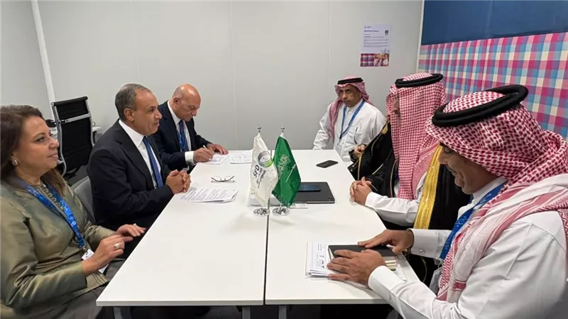 البنية التحتية والمشروعات الصغيرة.. أبرز ملفات التعاون بين مصر والصندوق السعودي للتنمية