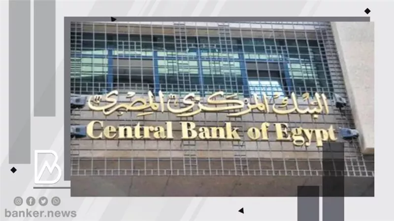 المركزي : 679.9 مليار جنيه ارتفاعا في صافي الأصول المحلية خلال 6 أشهر