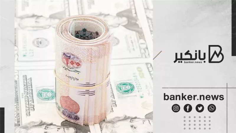 الدولار يتراجع أمام الجنيه المصري وسط توقعات بمزيد من الانخفاض