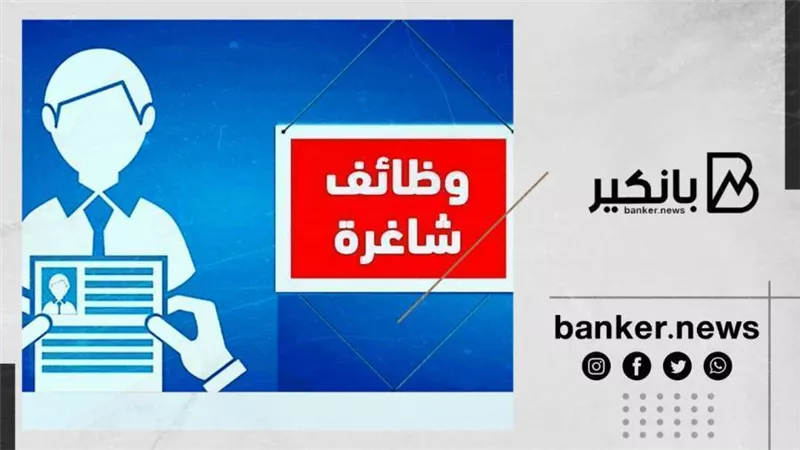 شركة أمان تعلن عن وظائف خالية.. اعرف موعد التقديم