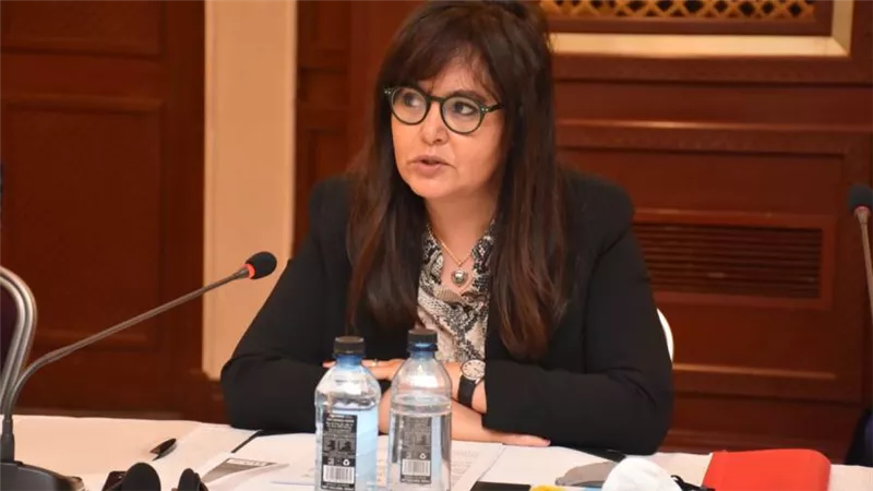 الوكالة الاقليمية للاستثمار بالكوميسا تنظم ورشة عمل لتحسين مناخ الاستثمار في الدول الأعضاء بمشاركة مصر