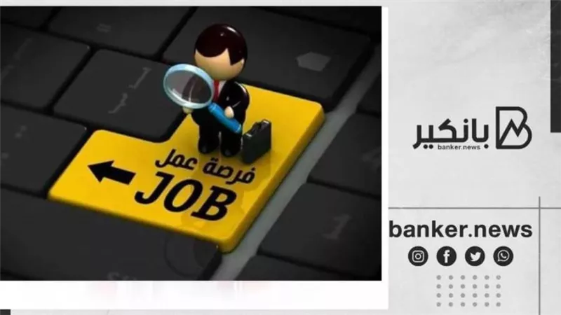 وظائف خالية بشركة أمان للتمويل متناهي الصغر.. اعرف الشروط وموعد التقديم