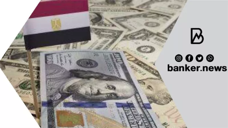 المركزي: تحويلات المصريين بالخارج تسجل 15.6 مليار دولار خلال 6 أشهر