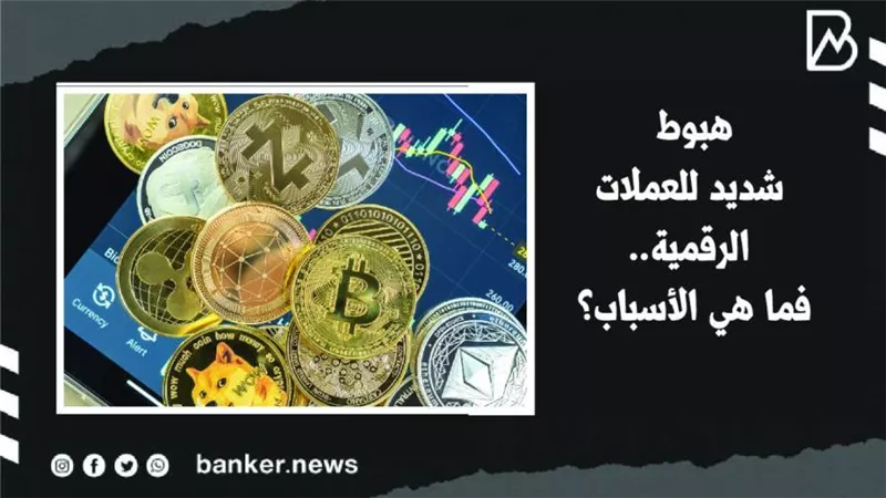 هبوط شديد للعملات الرقمية.. فما هي الأسباب | فيديو