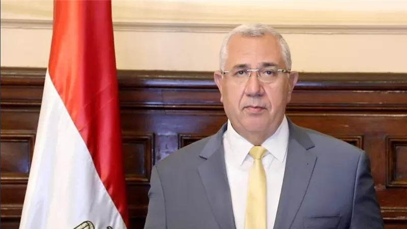 الزراعة: صادرات مصر الزراعية تتجاوز 3 ملايين طن هذا العام 