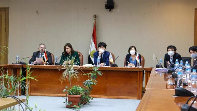 المالية: تحقيق حلم المصريين في الرعاية الصحية الشاملة بخبرات يابانية