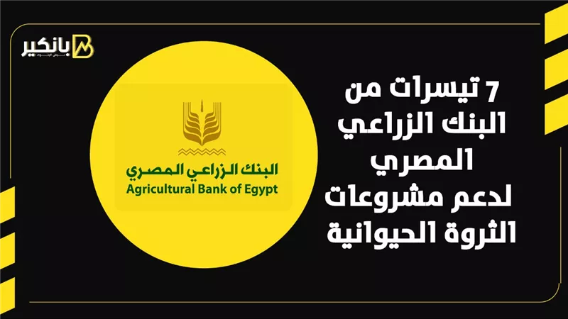 7 تيسرات من البنك الزراعي المصري لدعم مشروعات الثروة الحيوانية | إنفوجراف