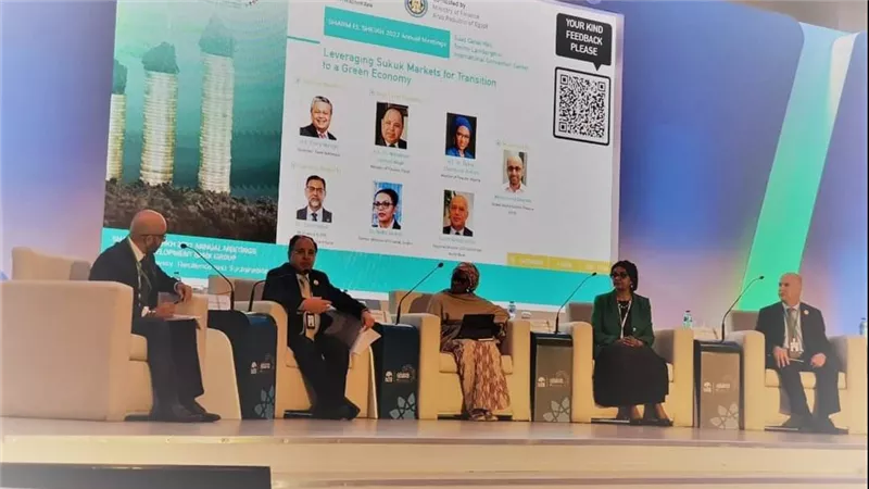 معيط: الحكومة تدرس إصدار أول طرح للصكوك السيادية خلال الفترة المقبلة لتحقيق المستهدفات المنشودة