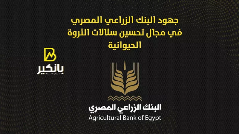 جهود البنك الزراعي المصري في مجال تحسين سلالات الثروة الحيوانية