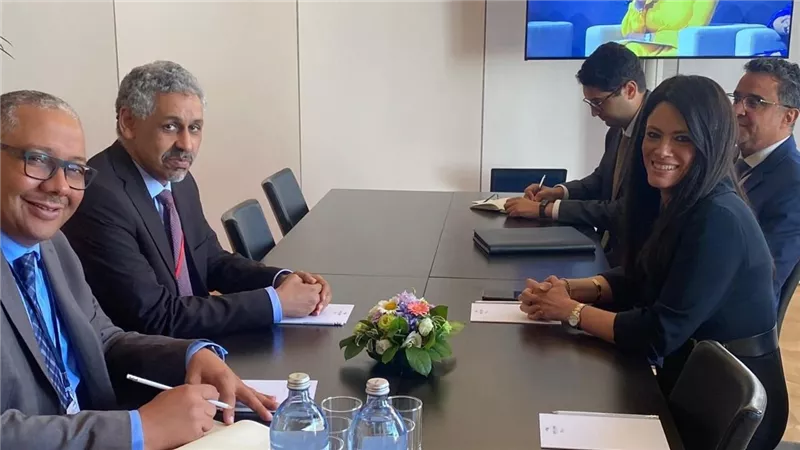 المشاط تبحث مع المصرف العربي للتنمية في أفريقيا تعزيز التعاون ونقل الخبرات المصرية لأفريقيا | صور