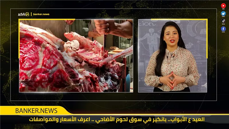 العيد ع الأبواب.. بانكير في سوق لحوم الأضاحي .. اعرف الأسعار والمواصفات