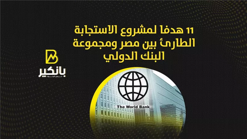 11 هدفا لمشروع الاستجابة الطارئ بين مصر ومجموعة البنك الدولي