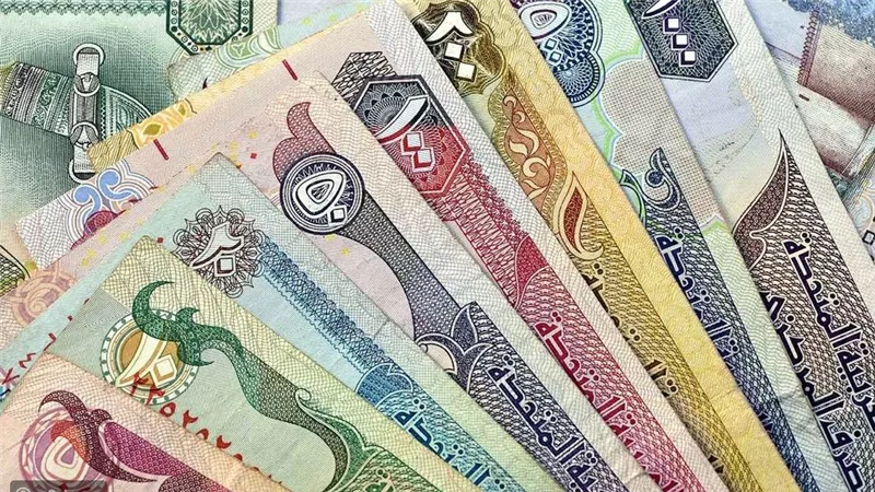 خبيرة: رفع بنوك الخليج للفائدة يظهر الالتزام بربط عملاتها بالدولار