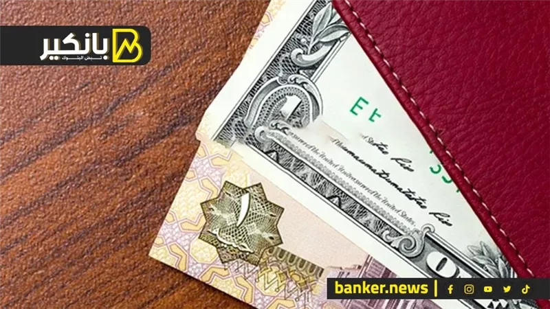 رسميا المركزي المصري يخفض الجنيه لـ19.257.. إلي إين يتجه الدولار