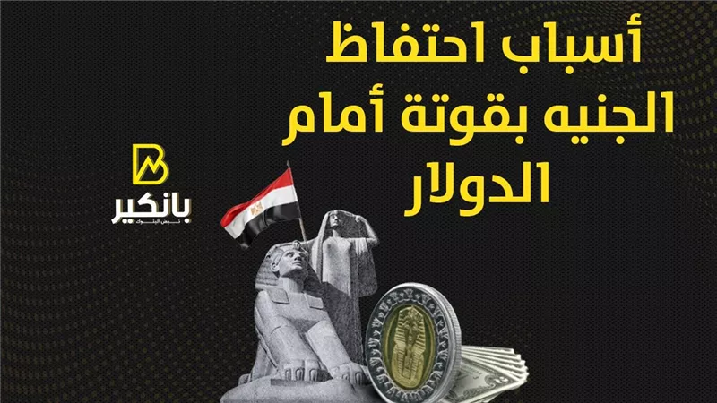 أسباب احتفاظ الجنيه بقوته أمام الدولار | إنفوجراف 