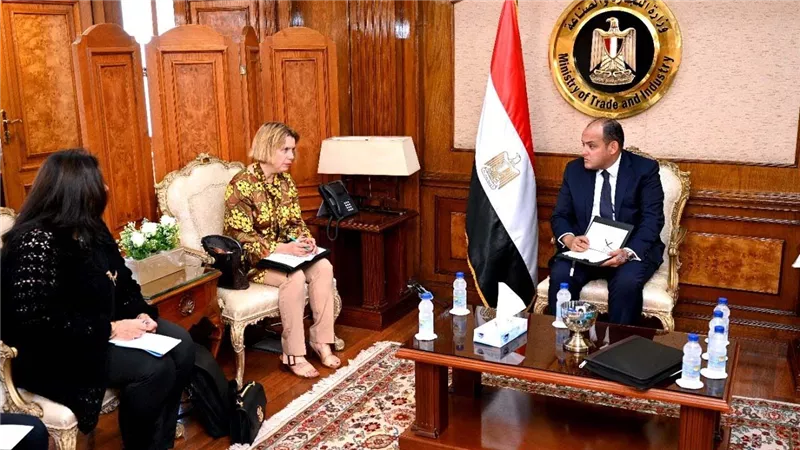 وزير التجارة: حريصون على الاستفادة من الخبرات الدولية في الارتقاء بالصناعة المصرية