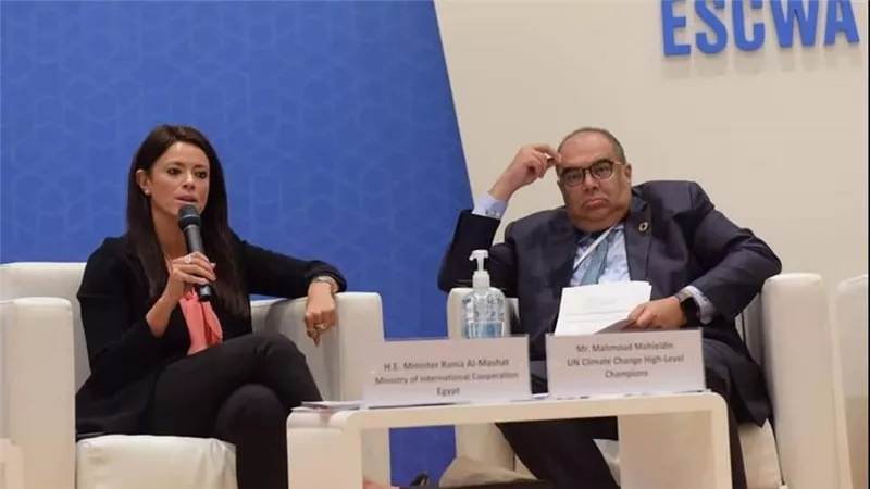 المشاط: 3 مؤسسات تمويل دولية تتولى محاور برنامج 