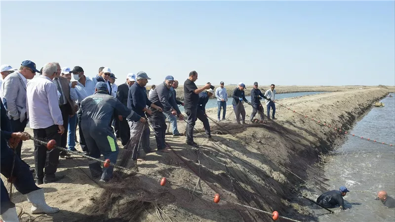 القناة للاستزراع المائي: فبراير المقبل انتهاء تطوير 272 حوض على مساحة 560 فدانا