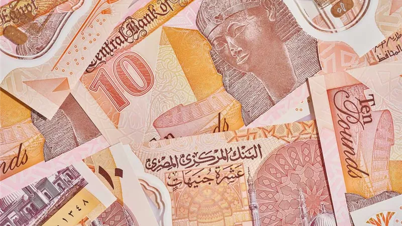 خبير اقتصادي:  رفع الفائدة يحسن القوى الشرائية للجنيه مقابل الدولار
