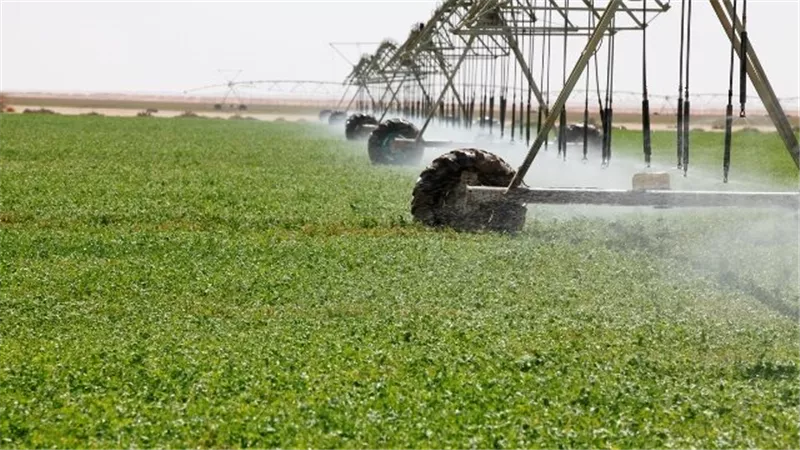 المؤتمر الاقتصادي 2022.. وضع معالم لخارطة طريق لتعظيم الإنتاج الزراعي وتعزيز الاكتفاء الذاتي