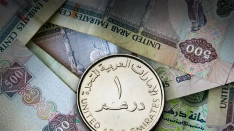 سعر الدرهم الاماراتي أمام الجنيه المصري في تعاملات اليوم السبت 5-11-2022
