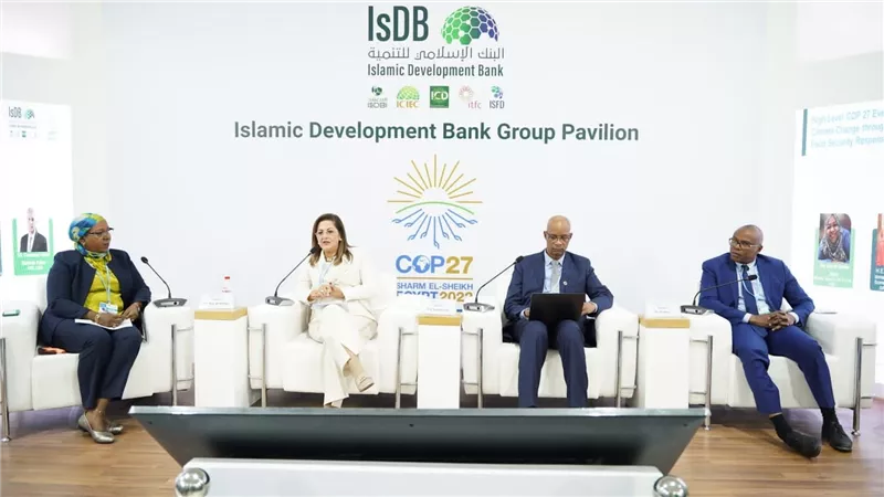 التخطيط: 25% من استثمارات المرحلة الأولى لمبادرة حياة كريمة من المشروعات الخضراء