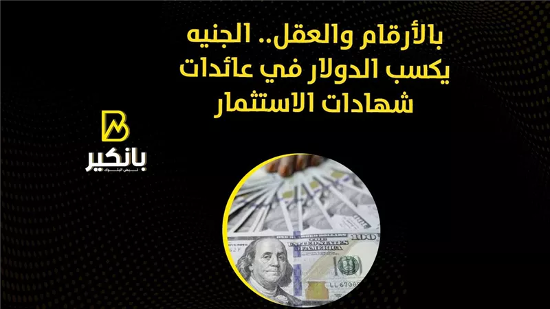 بالأرقام والعقل.. الجنيه يكسب الدولار في عائدات شهادات الاستثمار