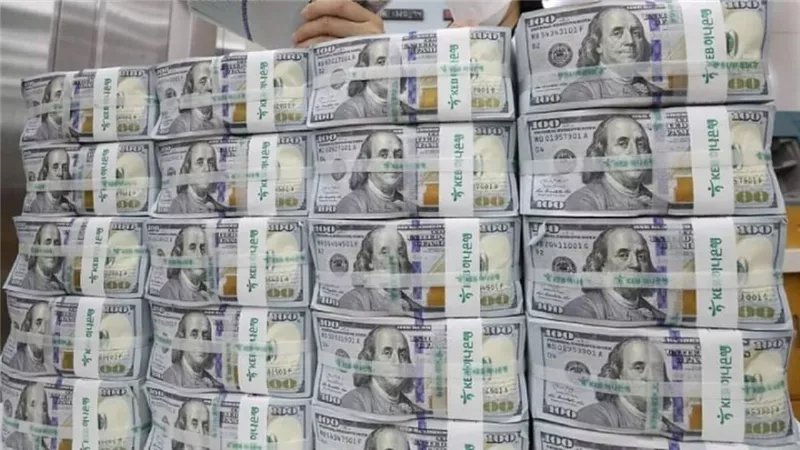 الدولار يرتفع قرشين في بنكا الأهلى ومصر 