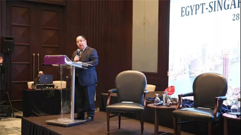 وزير المالية: مناخ الأعمال فى مصر جاذب لزيادة للاستثمارات المحلية والأجنبية