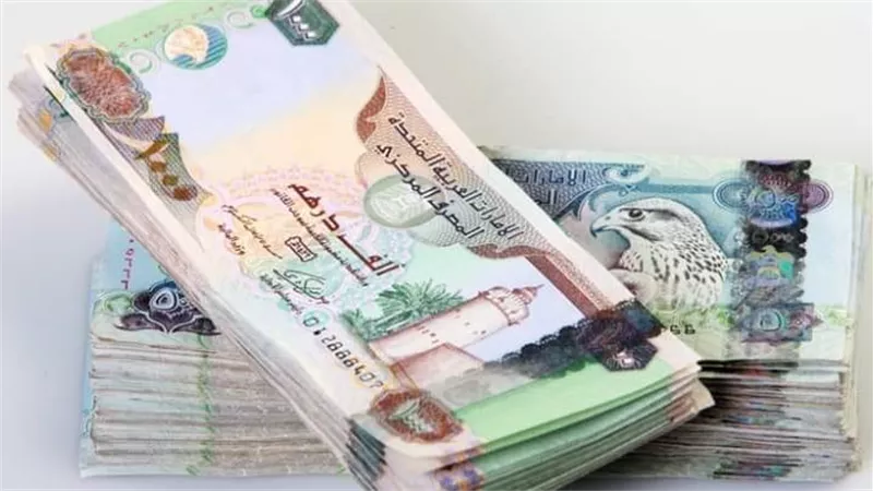 سعر الدرهم الاماراتي أمام الجنيه المصري في تعاملات اليوم الجمعة 2-12-2022