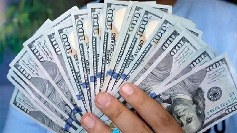 هبوط الدولار في مصر..ماذا سيحدث في 2023