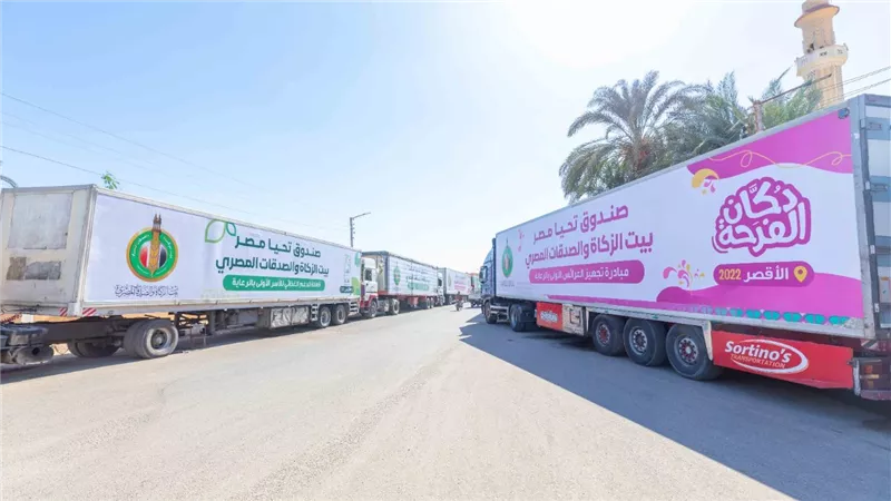 صندوق تحيا مصر وبيت الزكاة والصدقات ينظمان قافلة حماية اجتماعية بمحافظة الأقصر