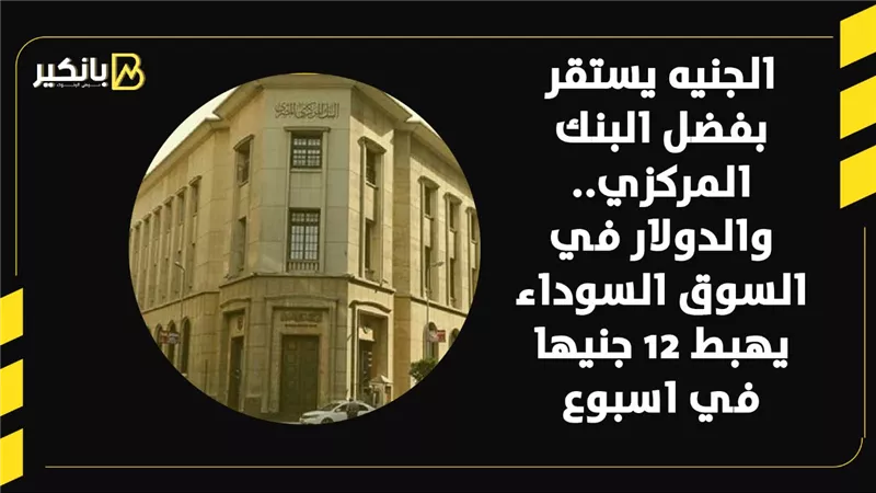 الجنيه يستقر بفضل البنك المركزي.. والدولار في السوق السوداء يهبط 12 جنيها في اسبوع