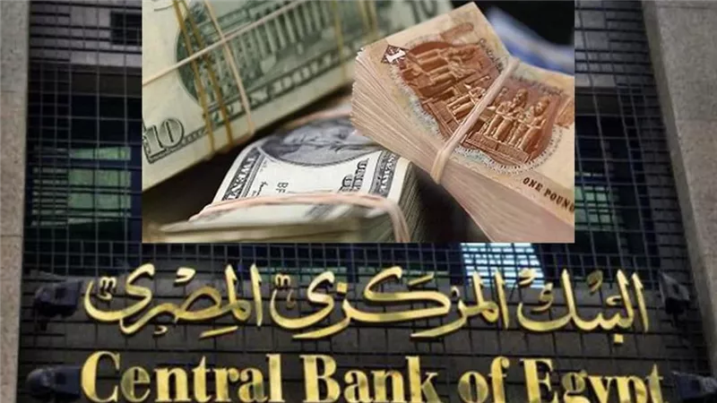 «المركزي»: البنوك والمؤسسات تطلب 25% فائدة في أذون الخزانة لأجل عام