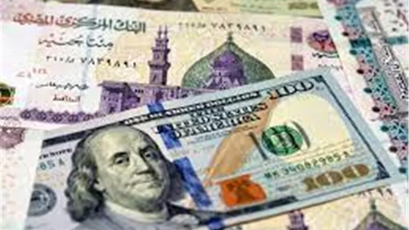 هل تساهم شهادات الـ 25% في استقرار الجنيه أمام الدولار الفترة المقبلة؟.. وتأثيرها على أسعار الذهب