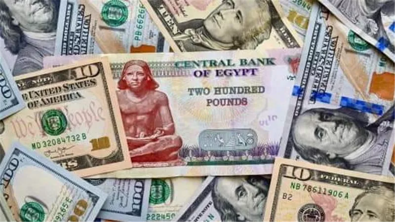 سعر الدولار أمام الجنيه المصري في تعاملات اليوم الجمعة 6-1-2023