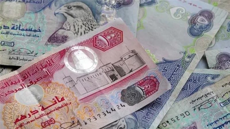 سعر الدرهم الإماراتي أمام الجنيه المصري في تعاملات اليوم الإثنين 9-1-2023