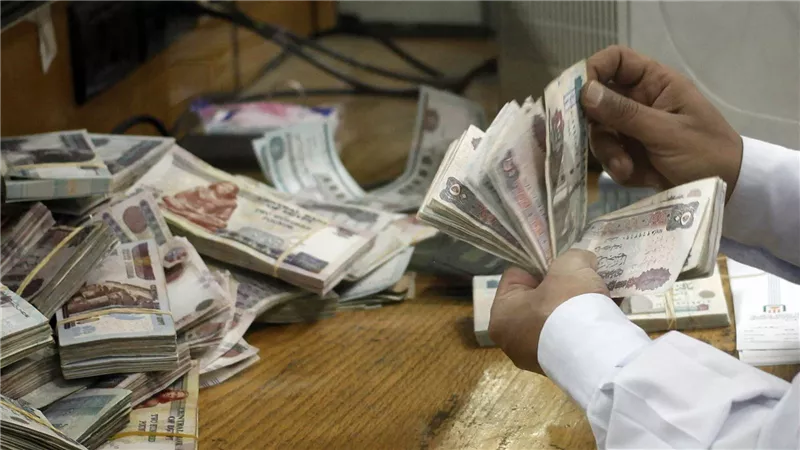 قرض الأرامل والمطلقات.. مستندات بسيطة وسرعة في الإجراءات من هذا البنك | فيديو 