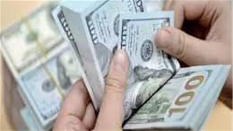 الدولار يقفز إلى 30 جنيها